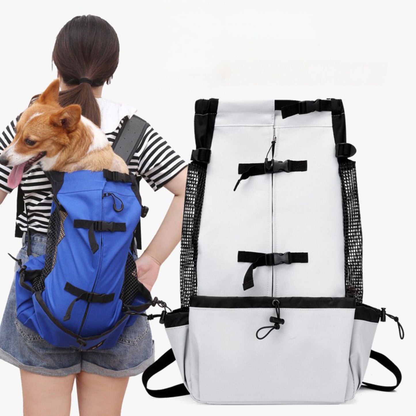 Dog Backpack for Hiking, Breathable Dog Carrier Backpack with Head Out Design for Travel, Cycling & Outdoor Adventures