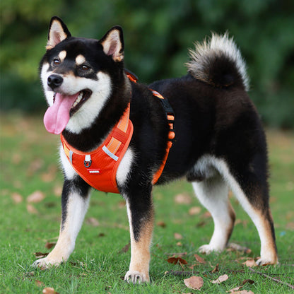 No Pull Dog Harness with Handle, Reflective Adjustable Dog Harness for Small to Medium Dogs