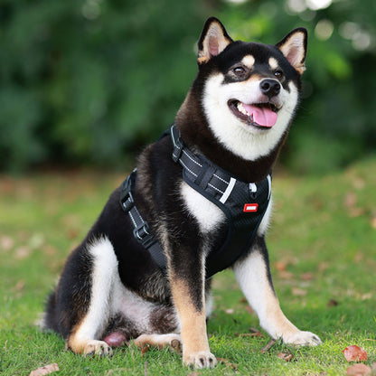 No Pull Dog Harness with Handle, Reflective Adjustable Dog Harness for Small to Medium Dogs