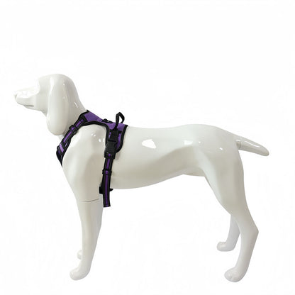 No Pull Harness for Dogs, Breathable Comfort Fit Dog Harness for Medium to Large Dogs for Walking Training