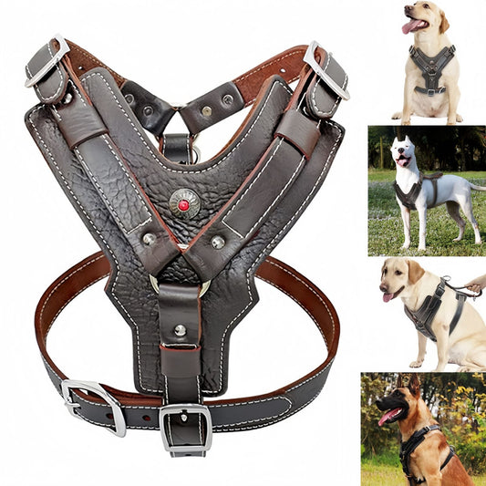 Leather Dog Harness with Handle, Heavy Duty Adjustable Training Dog Harness for Medium to Large Dogs