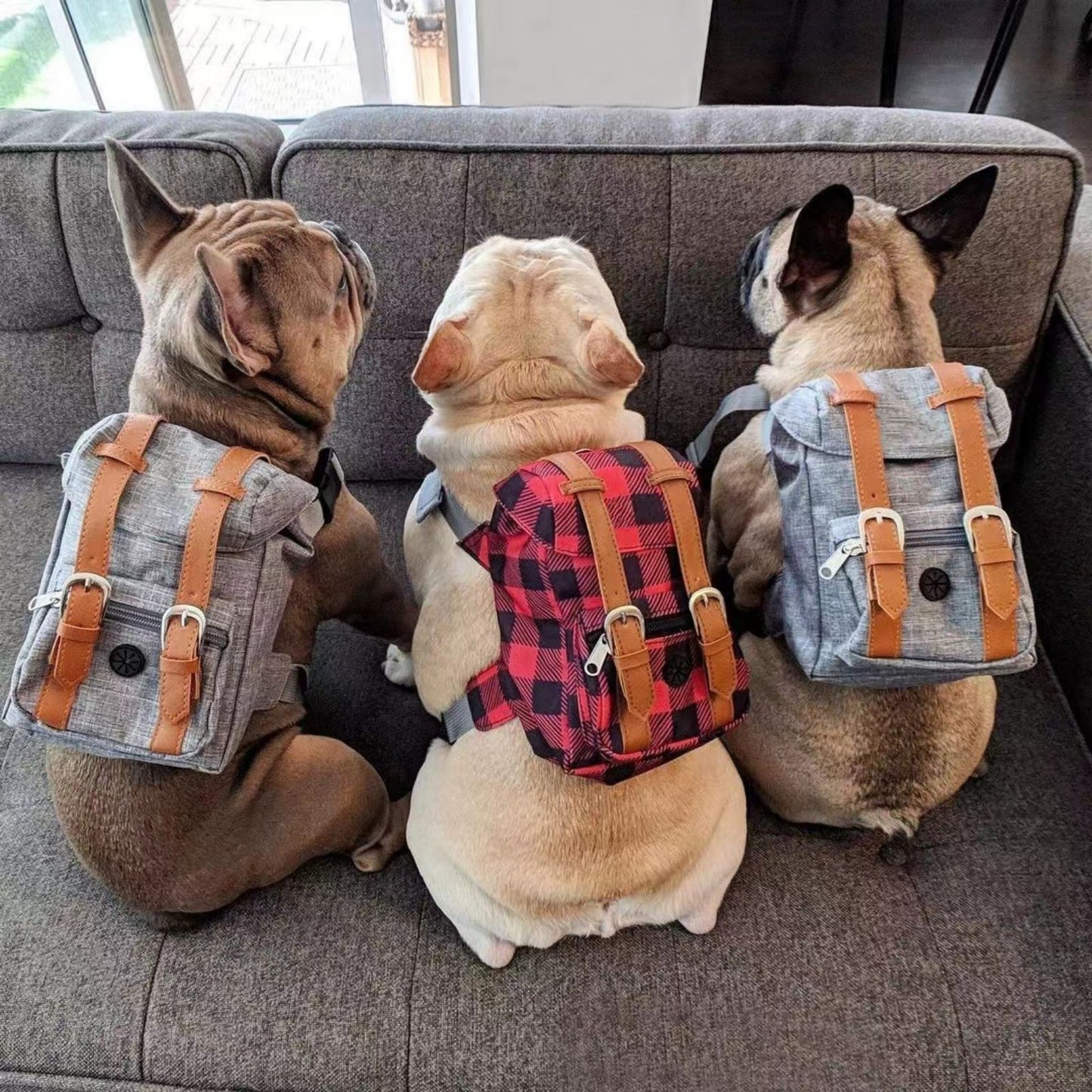 Backpack Harness for Dogs, Adjustable Dog Harness Backpack with Mini Pack for Walking, Hiking & Travel