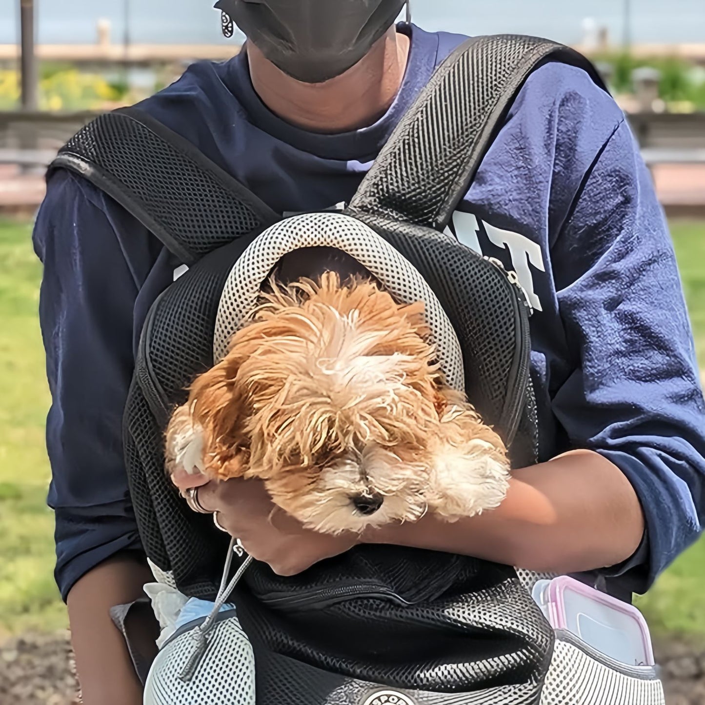 Travel Dog Carrier Backpack for Small Dogs & Cats, Breathable Mesh Pet Backpack Carrier with Head Out Design