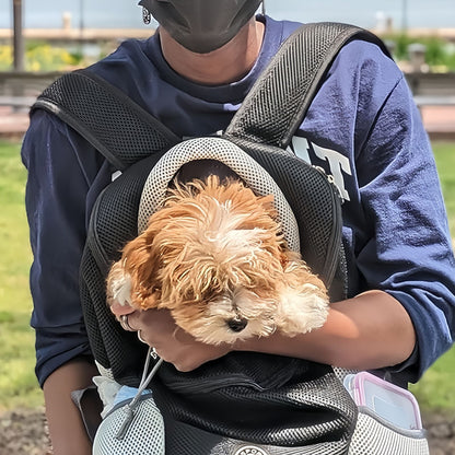 Travel Dog Carrier Backpack for Small Dogs & Cats, Breathable Mesh Pet Backpack Carrier with Head Out Design