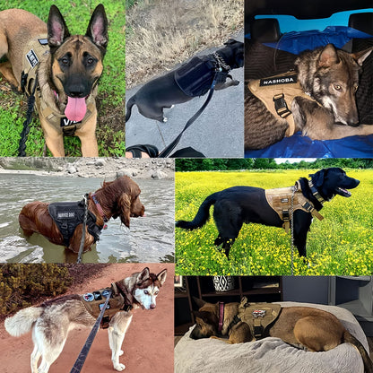Tactical Dog Harness and Leash Set, No Pull Military Style Dog Harness with Handle
