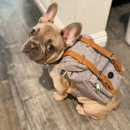 Backpack Harness for Dogs, Adjustable Dog Harness Backpack with Mini Pack for Walking, Hiking & Travel