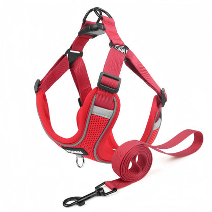 Breathable Frenchie Dog Harness with Leash, Reflective Adjustable Dog Harness Vest for Small Dogs & Cats