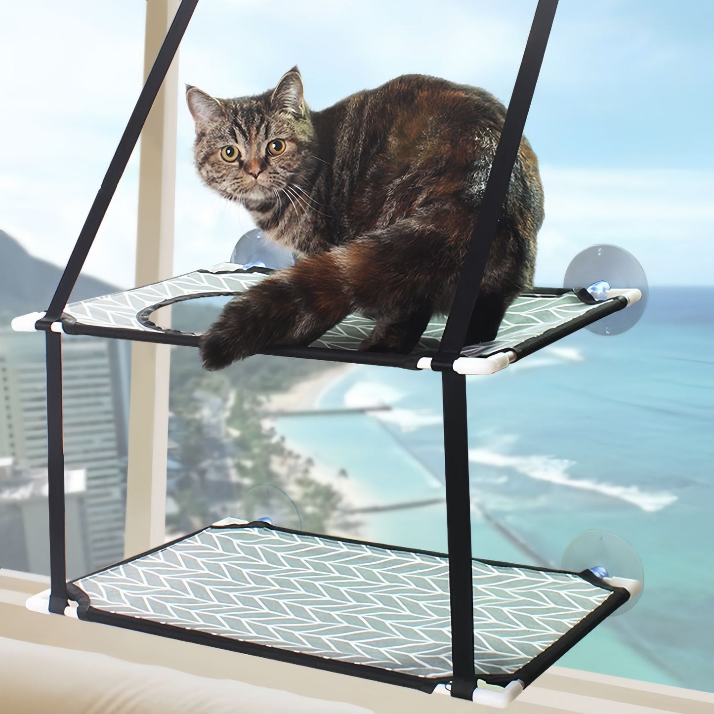 Double-Layer Hanging Cat Hammock Window Seat, Indoor Cat Perch Bed