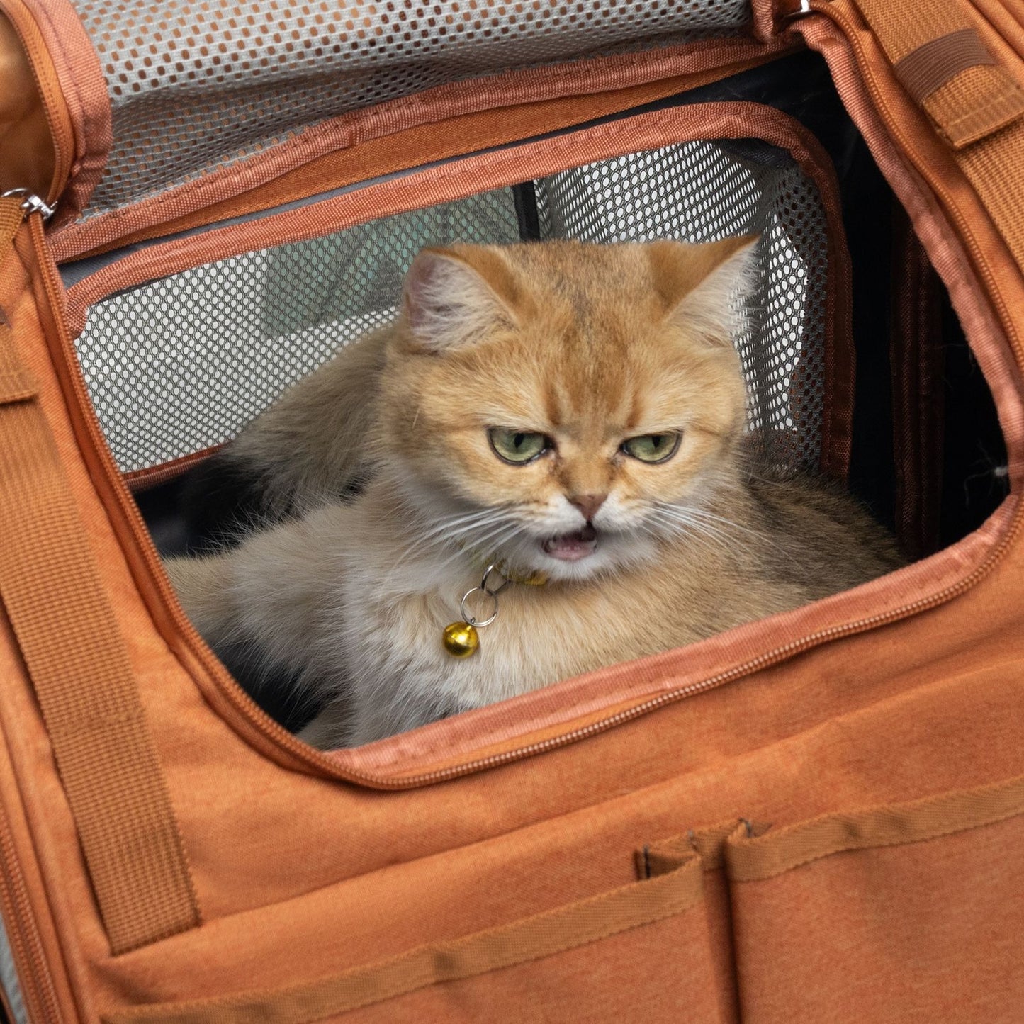 Expandable Cat Carrier Backpack, Breathable Foldable Cat Travel Backpack with Mesh Extension