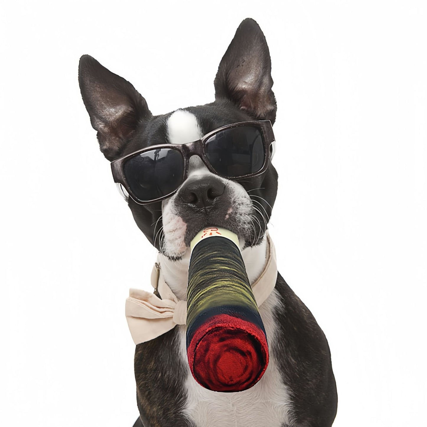 Funny Squeaky Cigar Dog Toy Plush Chew Toy for Small & Medium Dogs, Interactive Durable Dog Toy