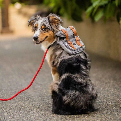 Backpack Harness for Dogs, Adjustable Dog Harness Backpack with Mini Pack for Walking, Hiking & Travel