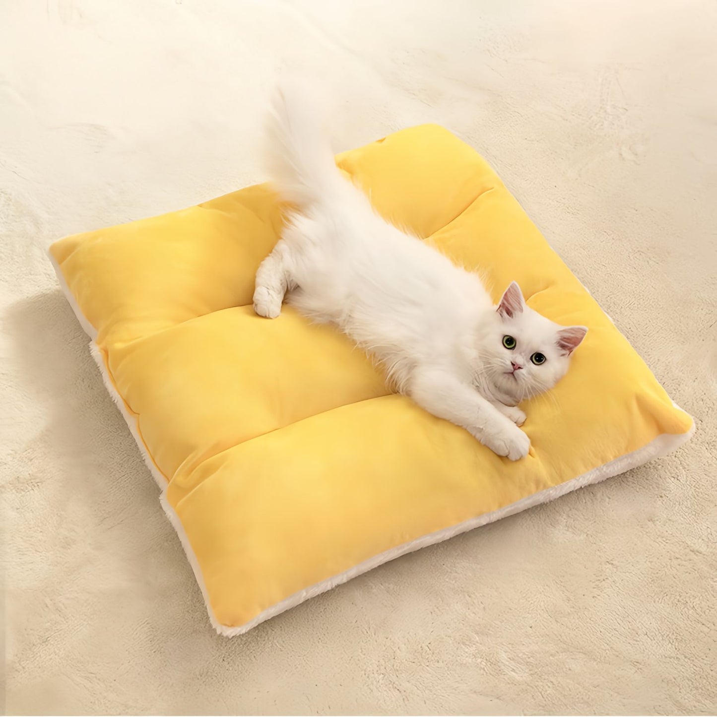 Cat Tent Bed and Dog Bed, Semi Enclosed Cat Cave Bed Cozy Plush Pet House