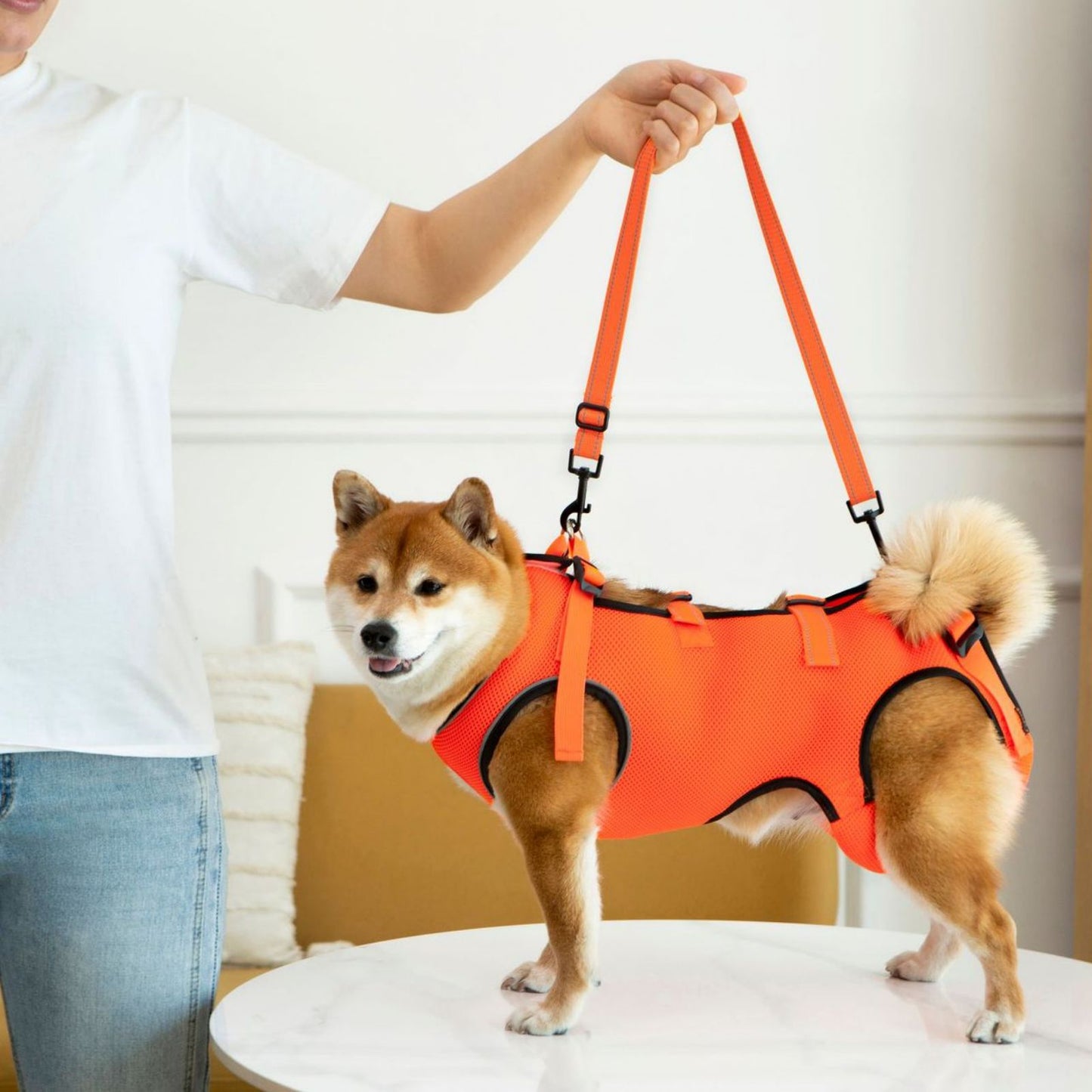 Dog Lift Harness for Small to Large Dogs, Adjustable Full Body Support Harness Lift for Dogs with Mobility Issues & Rehabilitation Needs