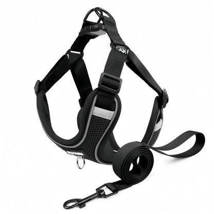 Breathable Frenchie Dog Harness with Leash, Reflective Adjustable Dog Harness Vest for Small Dogs & Cats