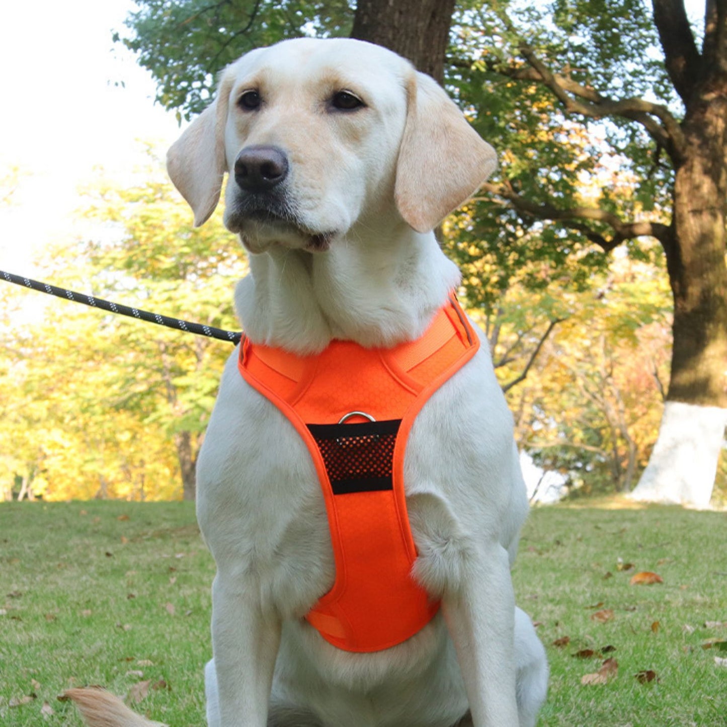 No Pull Dog Pulling Harness with Handle, Escape Proof Reflective Dog Harness Vest Adjustable Soft Padded Dog Harness for Small to Large Dogs