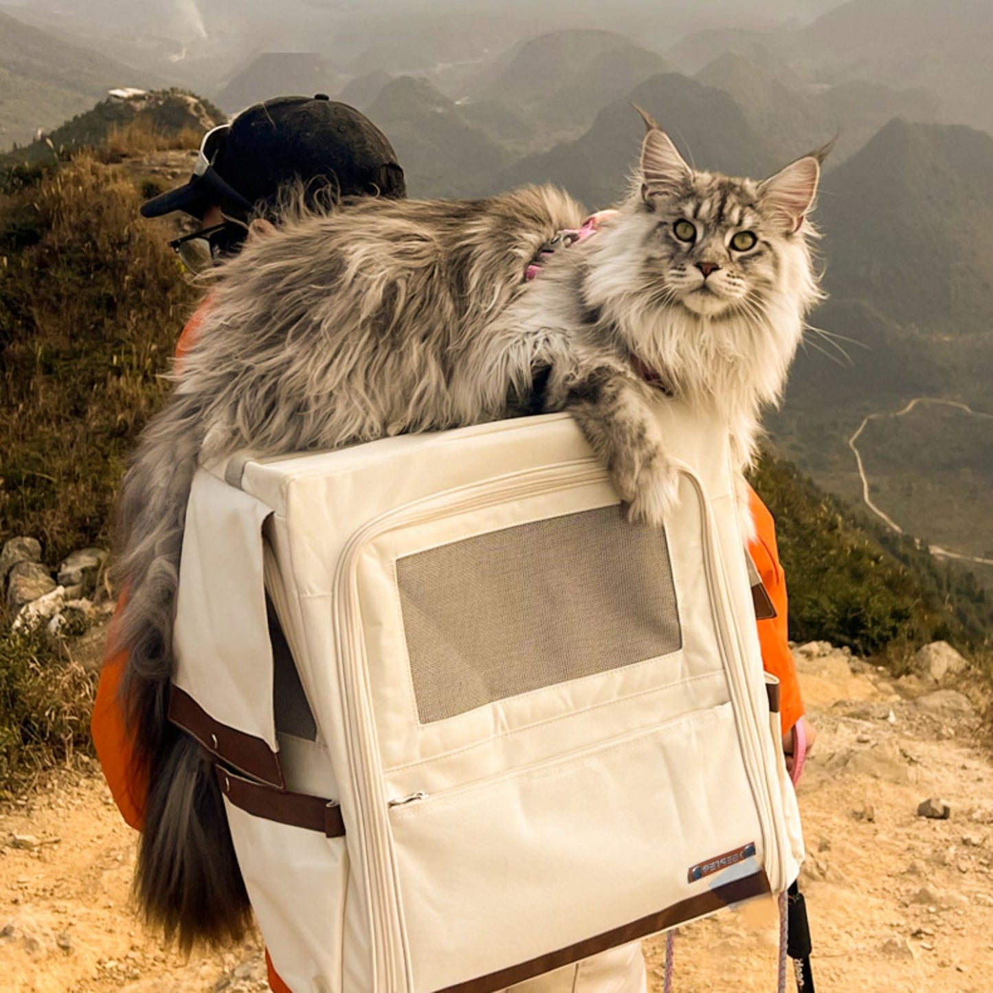 Cat Carrier Backpack with Wheels, Rolling Cat Travel Carrier Backpack
