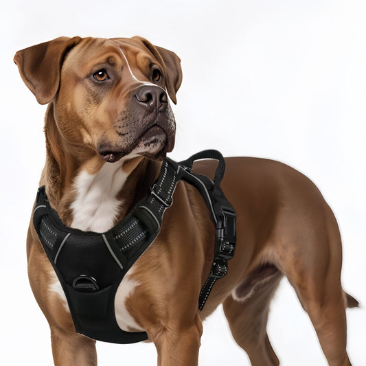 No Pull Dog Walking Harness with Handle, Reflective Outdoor Front & Back Clip Adjustable Dog Harness for Small to Large Dogs