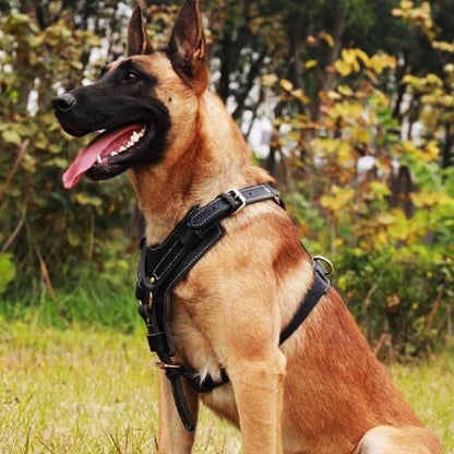 Leather Dog Harness with Handle, Heavy Duty Adjustable Training Dog Harness for Medium to Large Dogs