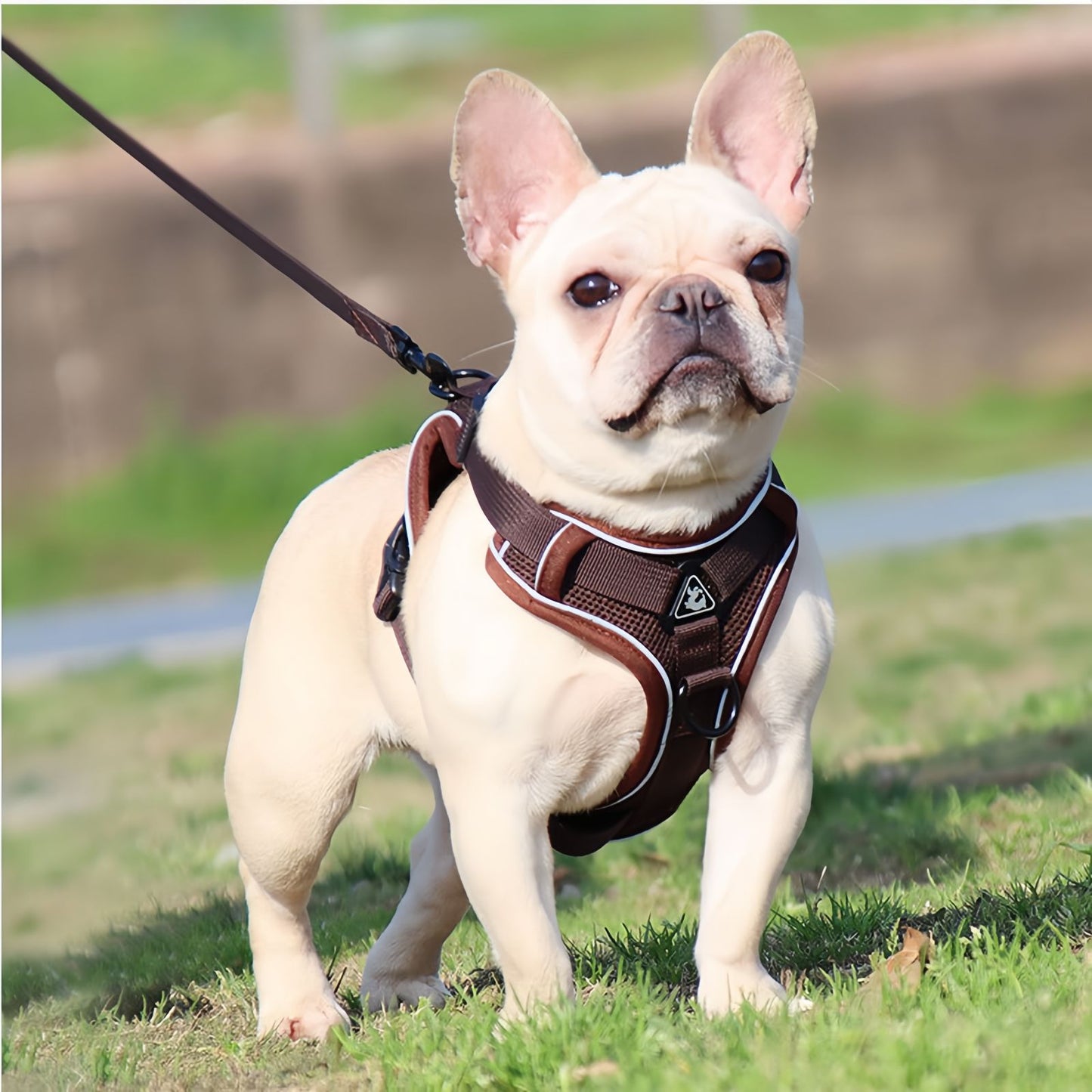 No Pull Dog Harness and Leash Set for Frenchie, Reflective Adjustable Mesh Vest Harness for Cats and Small Dogs