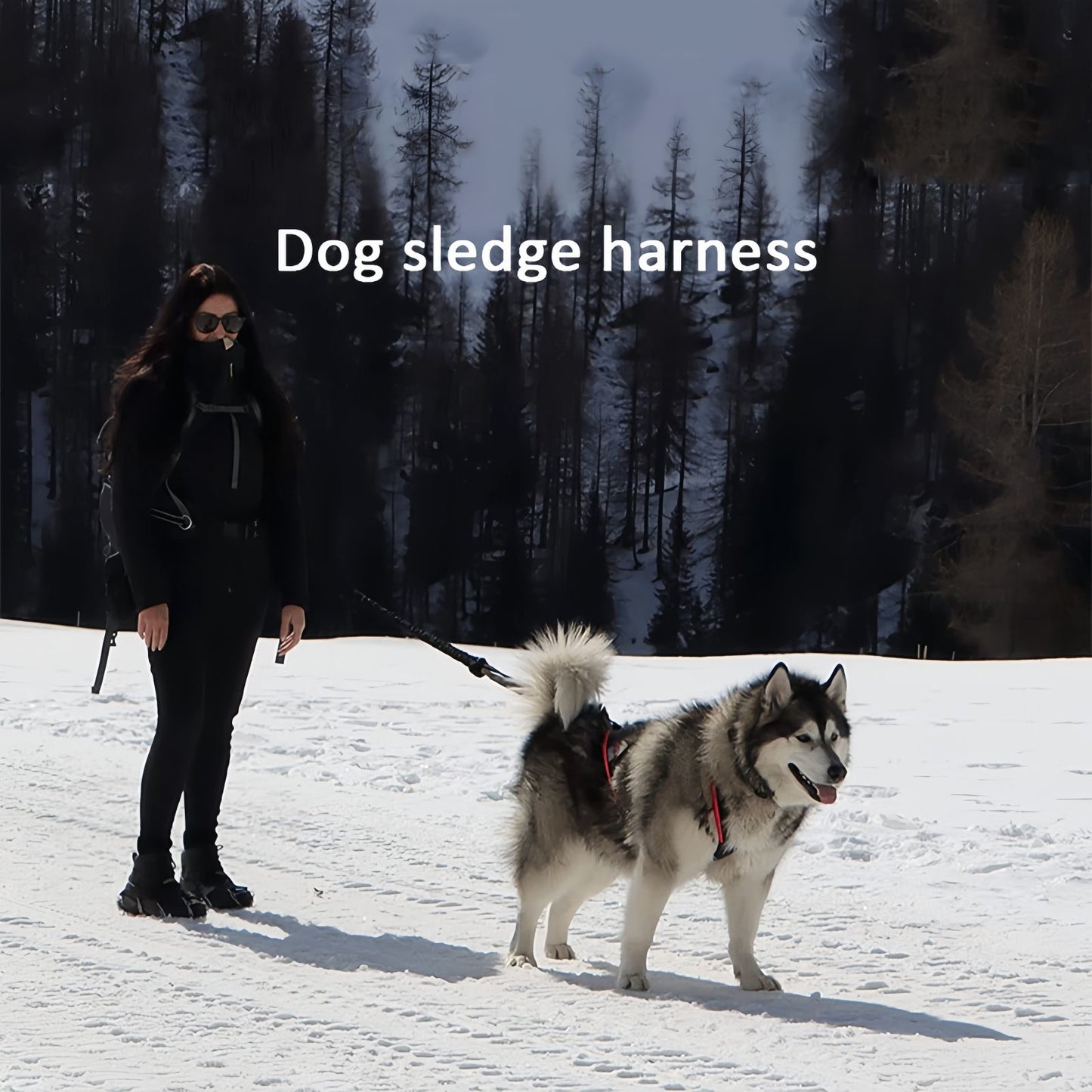 Sled Dog Harness X-Back Reflective Weight Pulling Harness for Medium to Large Dogs, Heavy Duty Skijoring & Canicross Harness