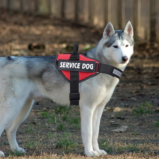 Heavy Duty Service Dog Harness with Handle & Reflective Strip, Adjustable Working Dog Harness for Medium to Large Dogs
