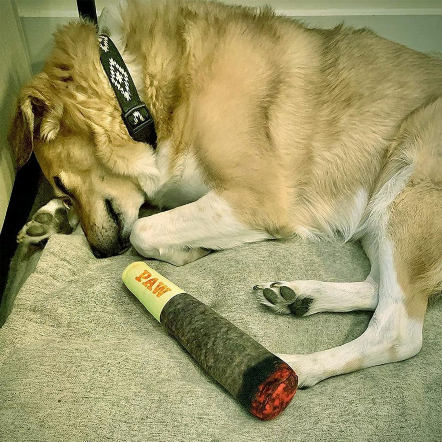 Funny Squeaky Cigar Dog Toy Plush Chew Toy for Small & Medium Dogs, Interactive Durable Dog Toy