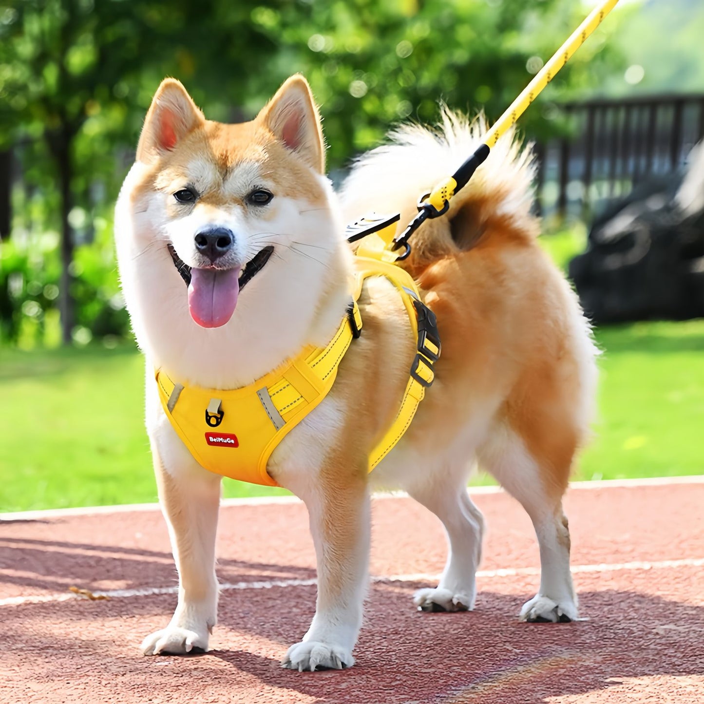 Dog Harness with Handle for Small to Medium Dogs, No Pull Reflective Adjustable Dog Harness to Prevent Pulling for Training Walking