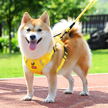 Dog Harness with Handle for Small to Medium Dogs, No Pull Reflective Adjustable Dog Harness to Prevent Pulling for Training Walking