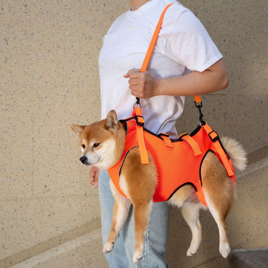 Dog Lift Harness for Small to Large Dogs, Adjustable Full Body Support Harness Lift for Dogs with Mobility Issues & Rehabilitation Needs