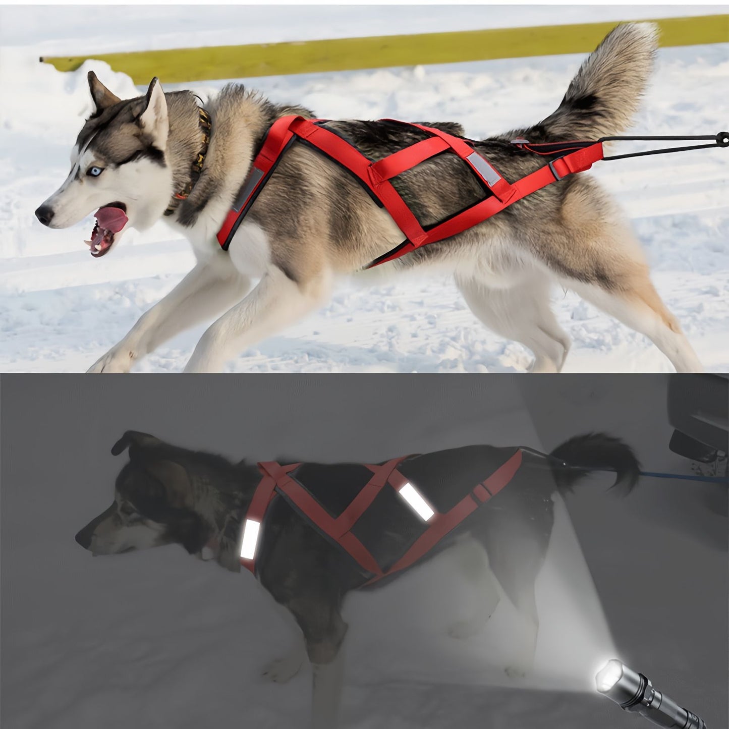 Sled Dog Harness X-Back Reflective Weight Pulling Harness for Medium to Large Dogs, Heavy Duty Skijoring & Canicross Harness