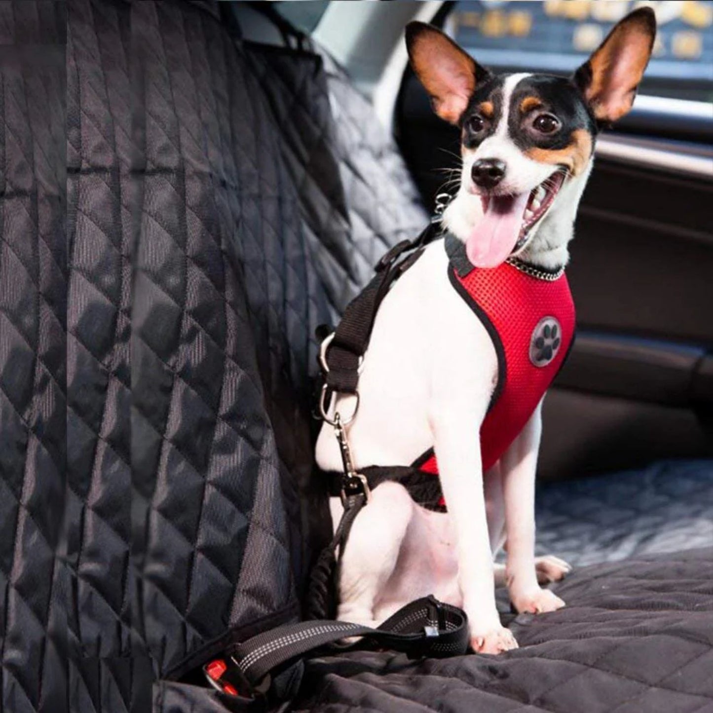 Dog Seat Belt Harness and Leash Set, No Pull Breathable Vest Dog Harness with Bungee Leash