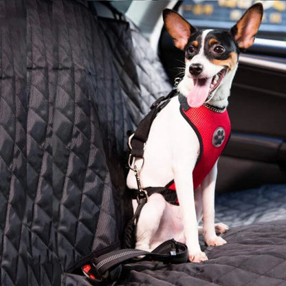 Dog Seat Belt Harness and Leash Set, No Pull Breathable Vest Dog Harness with Bungee Leash