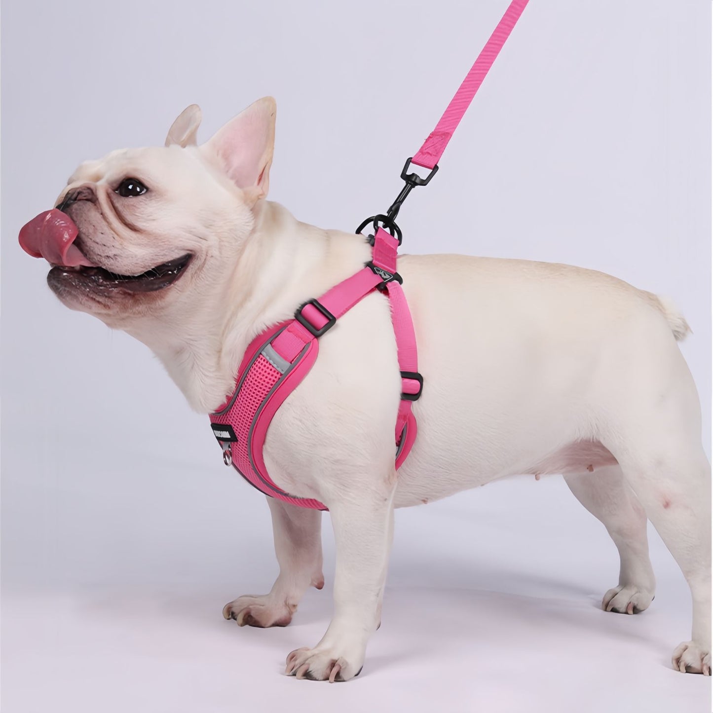 Breathable Frenchie Dog Harness with Leash, Reflective Adjustable Dog Harness Vest for Small Dogs & Cats