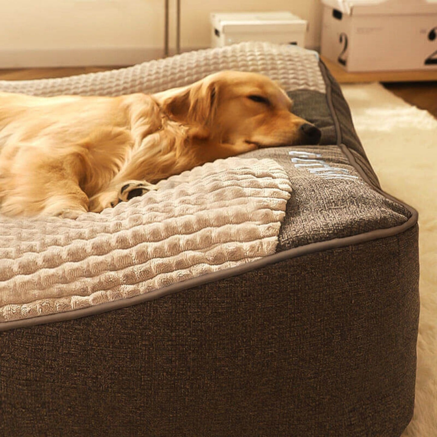 Thick Washable Dog Cushion Bed, Calming Pet Sofa for Medium & Large Dogs