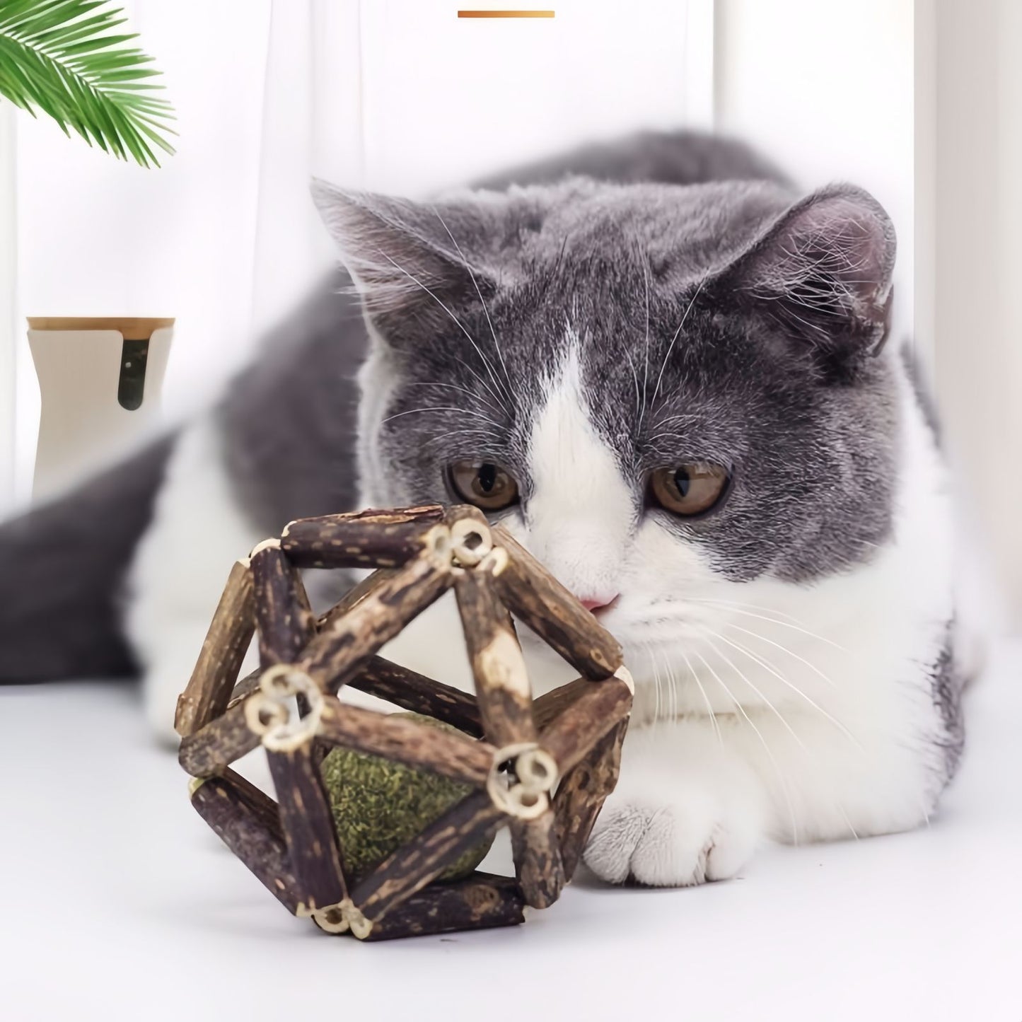 Matatabi Catnip Ball Interactive Cat Toy, Cat Chew Ball for Teeth Cleaning & Play