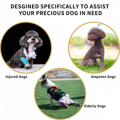 Dog Lift Harness for Small to Large Dogs, Adjustable Full Body Support Harness Lift for Dogs with Mobility Issues & Rehabilitation Needs