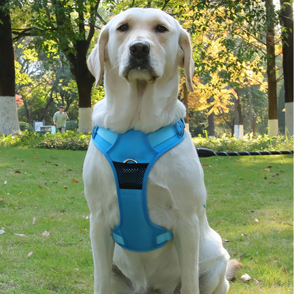No Pull Dog Pulling Harness with Handle, Escape Proof Reflective Dog Harness Vest Adjustable Soft Padded Dog Harness for Small to Large Dogs