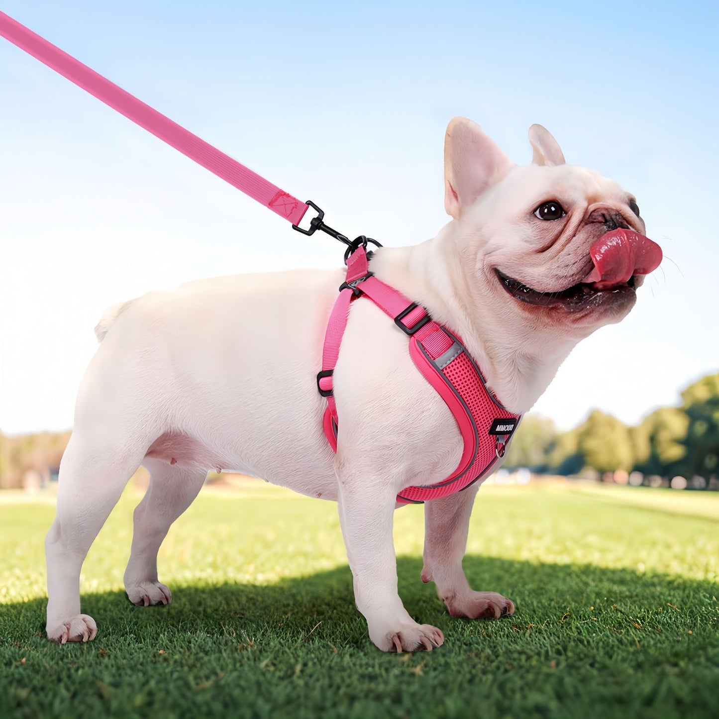 Breathable Frenchie Dog Harness with Leash, Reflective Adjustable Dog Harness Vest for Small Dogs & Cats