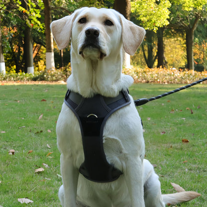 No Pull Dog Pulling Harness with Handle, Escape Proof Reflective Dog Harness Vest Adjustable Soft Padded Dog Harness for Small to Large Dogs