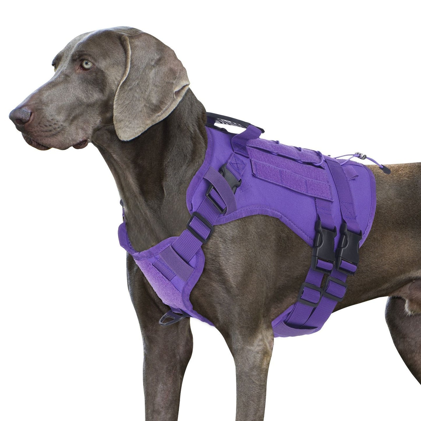 Tactical Dog Harness with Handle for Medium to Large Dogs, Adjustable Outdoor Dog Harness for Training Walking