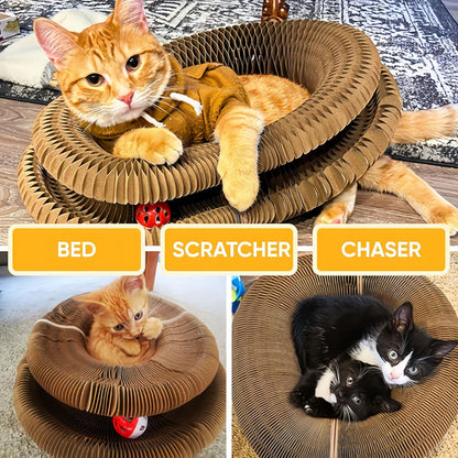 Foldable Cardboard Cat Scratcher Toy with Ball, Interactive Cat Scratch Toy for Indoor Cats