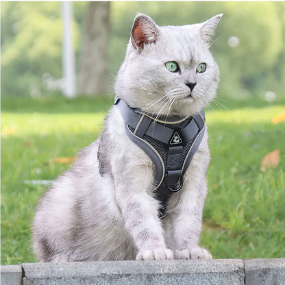 No Pull Dog Harness and Leash Set for Frenchie, Reflective Adjustable Mesh Vest Harness for Cats and Small Dogs