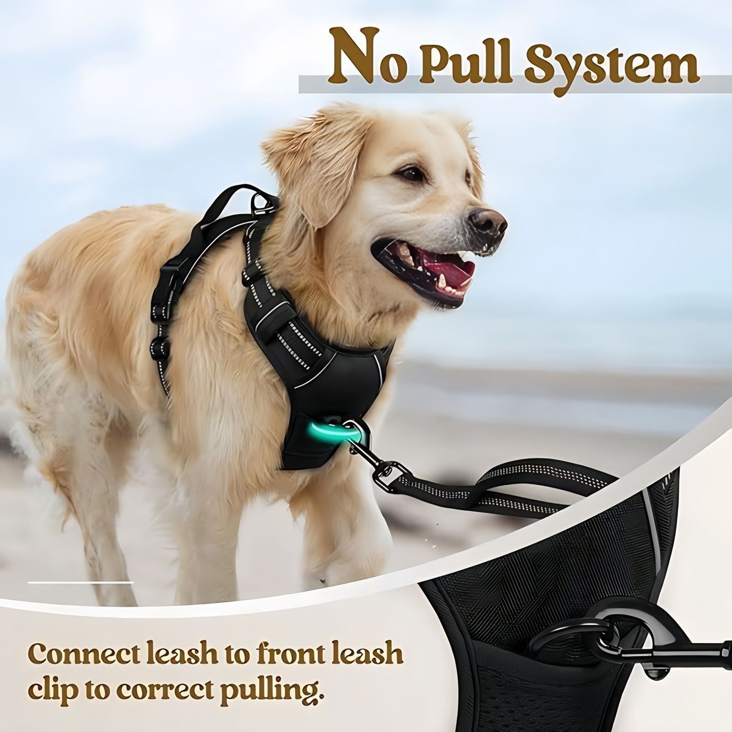 No Pull Dog Walking Harness with Handle, Reflective Outdoor Front & Back Clip Adjustable Dog Harness for Small to Large Dogs
