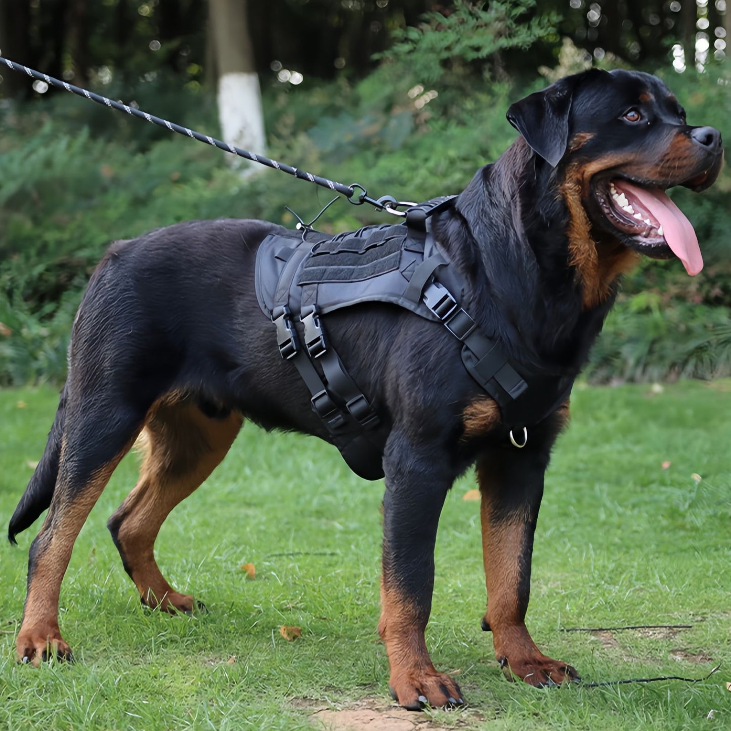 Adjustable Large Dog Harness No Pull with Handle, Tactical Training Harness for Medium & Large Dogs
