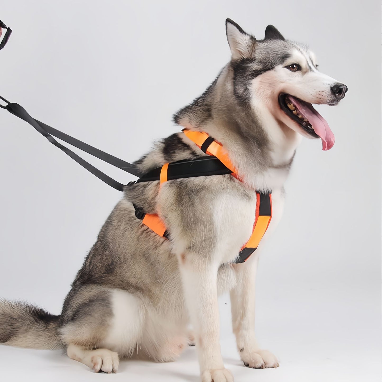 Heavy Duty Sled Dog Harness for Medium to Large Dogs, Reflective Dog Pulling Harness for Running Training & Outdoor Activities