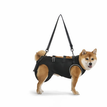 Dog Lift Harness for Small to Large Dogs, Adjustable Full Body Support Harness Lift for Dogs with Mobility Issues & Rehabilitation Needs