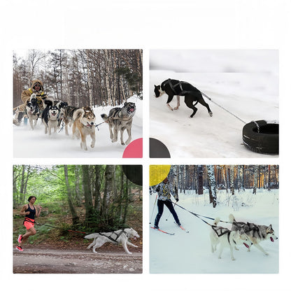 Sled Dog Harness X-Back Reflective Weight Pulling Harness for Medium to Large Dogs, Heavy Duty Skijoring & Canicross Harness