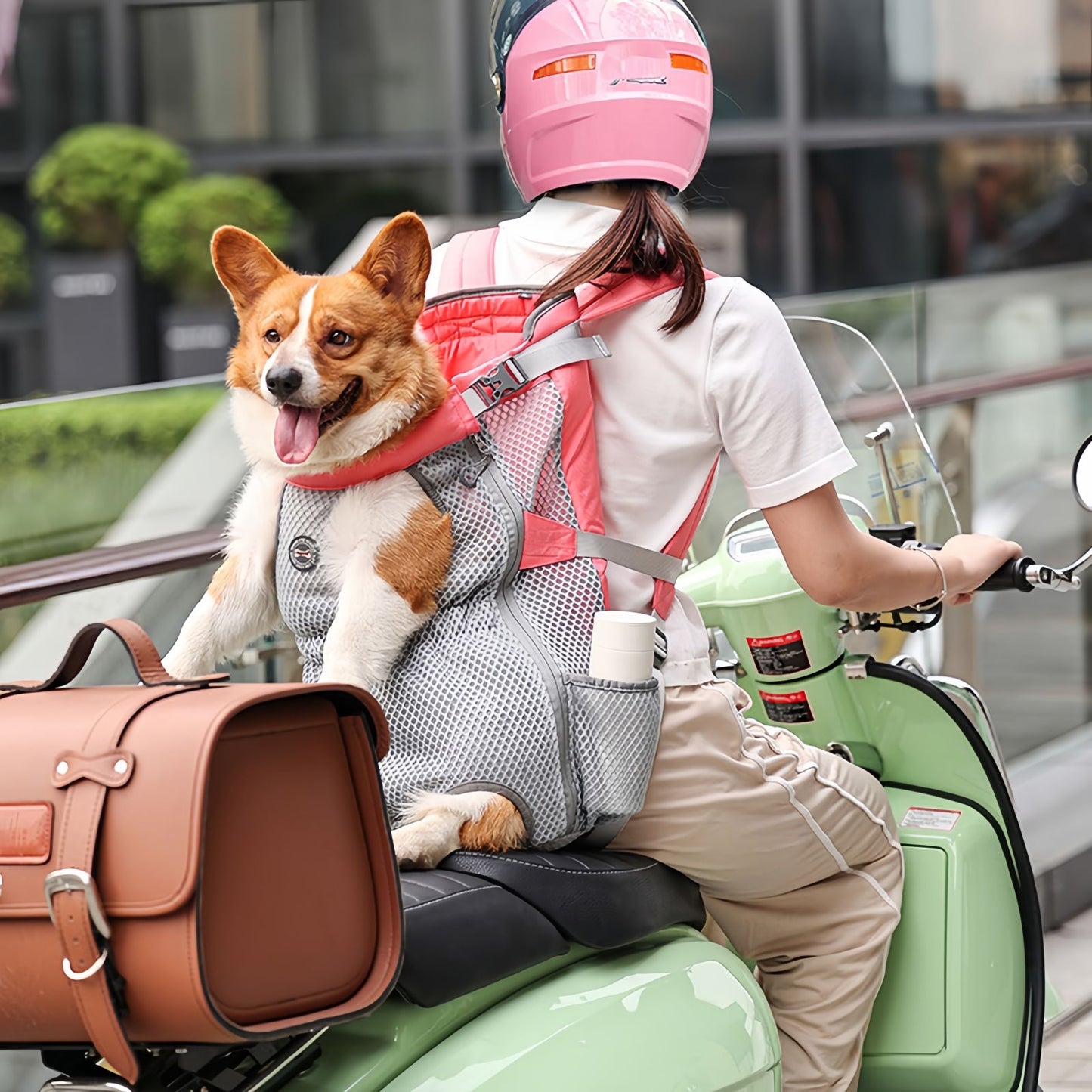 Puppy Dog Backpack Carrier, Breathable Front & Back Dog Carrier for Small Medium Dogs