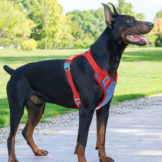 No Pull Dog Vest Harness, Escape Proof Reflective Breathable Mesh Dog Harness with Adjustable Straps
