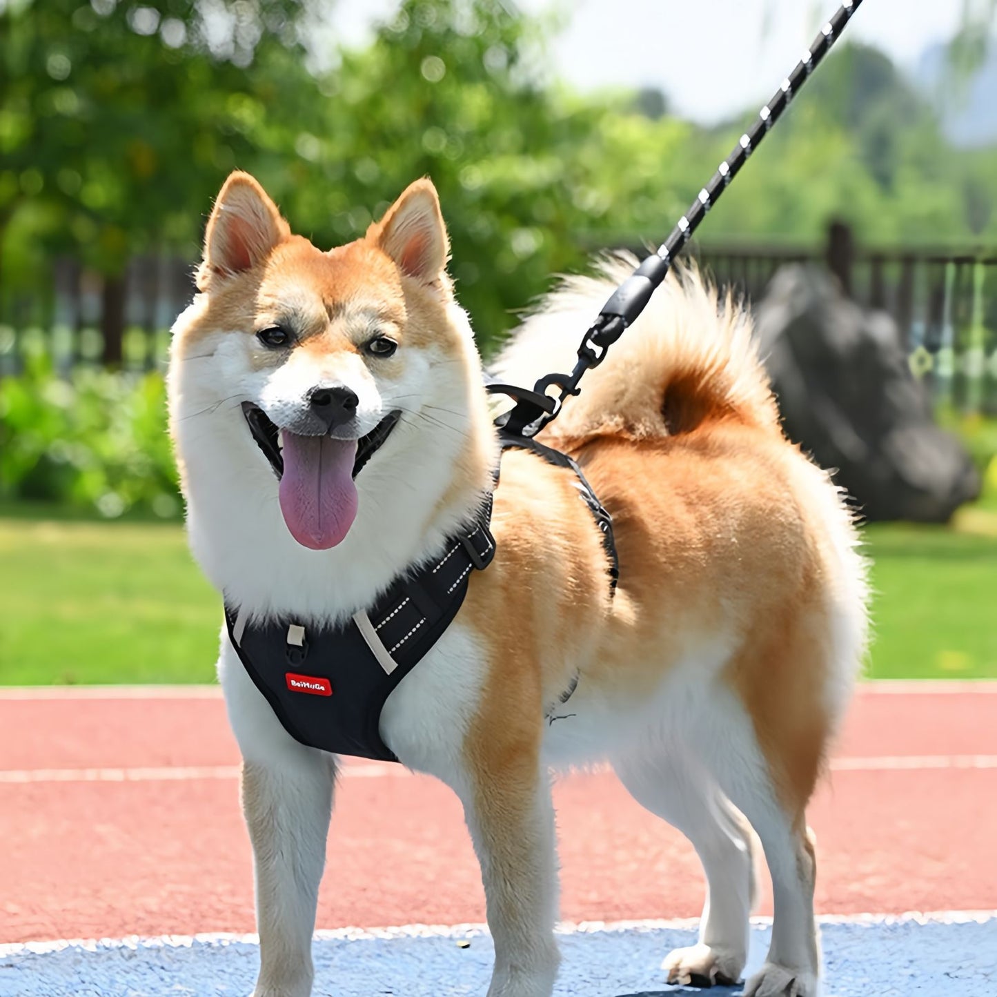 Dog Harness with Handle for Small to Medium Dogs, No Pull Reflective Adjustable Dog Harness to Prevent Pulling for Training Walking